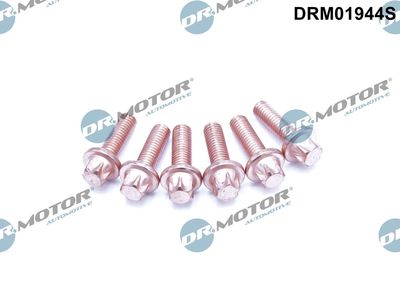 Bolt, exhaust system Dr.Motor Automotive DRM01944S