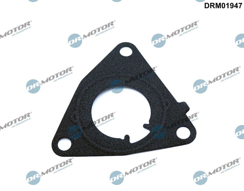 Dr.Motor Automotive DRM01947 Gasket, vacuum pump
