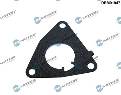 Gasket, vacuum pump Dr.Motor Automotive DRM01947