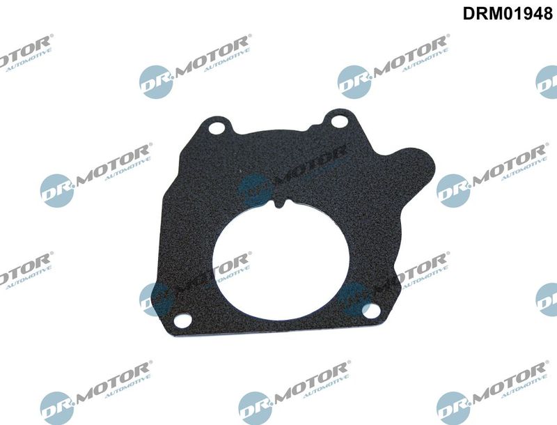 Dr.Motor Automotive DRM01948 Gasket, vacuum pump