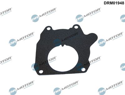 Gasket, vacuum pump Dr.Motor Automotive DRM01948