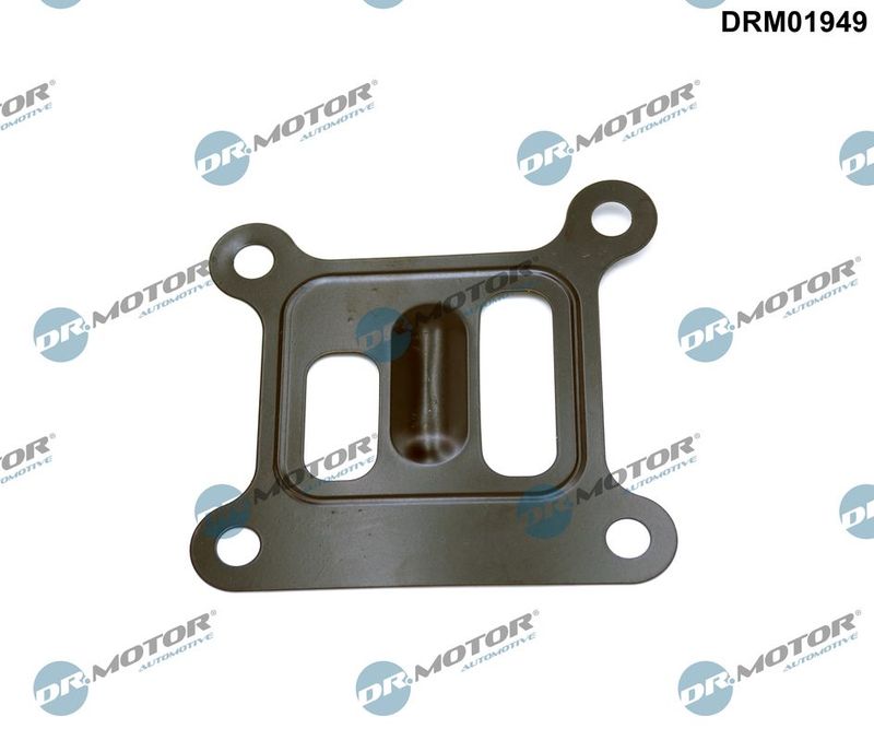 Dr.Motor Automotive DRM01949 Gasket, water pump