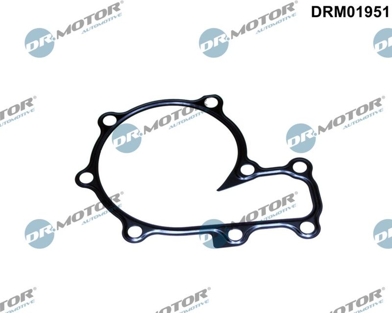 Dr.Motor Automotive DRM01951 Gasket, water pump