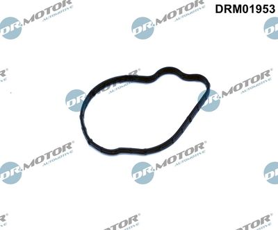 Seal, injection pump Dr.Motor Automotive DRM01953
