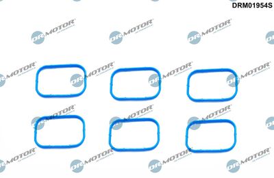 Gasket Set, intake manifold Dr.Motor Automotive DRM01954S