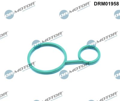 Gasket, oil sump Dr.Motor Automotive DRM01958