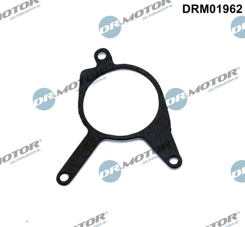 Dr.Motor Automotive DRM01962 Gasket, vacuum pump