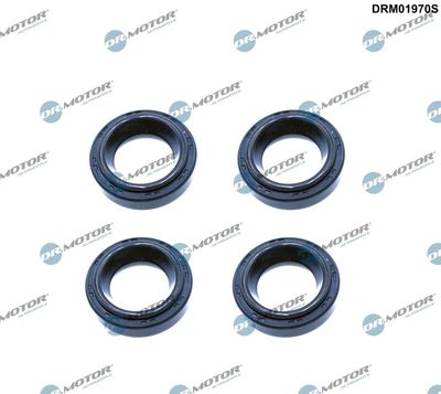 Seal Ring, spark plug shaft Dr.Motor Automotive DRM01970S