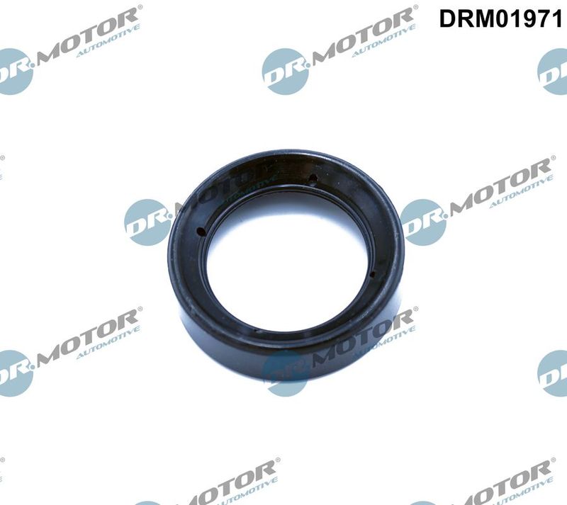Dr.Motor Automotive DRM01971 Gasket, cylinder head cover