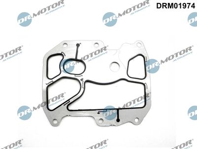 Gasket, oil cooler Dr.Motor Automotive DRM01974