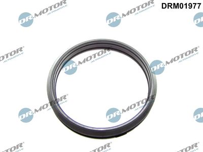 Seal Ring, charge air hose Dr.Motor Automotive DRM01977