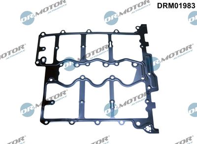 Gasket, cylinder head cover Dr.Motor Automotive DRM01983