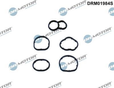 Gasket, oil filter housing Dr.Motor Automotive DRM01984S