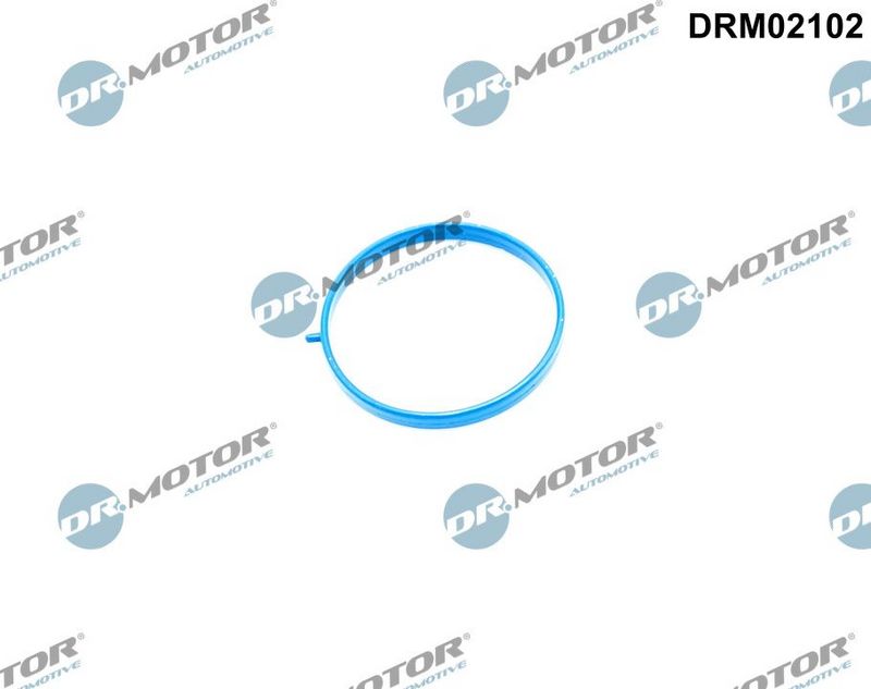 Dr.Motor Automotive DRM02102 Gasket, intake manifold