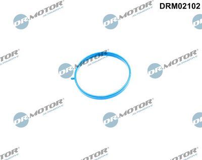Gasket, intake manifold Dr.Motor Automotive DRM02102