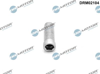 Screw, injection nozzle holder Dr.Motor Automotive DRM02104