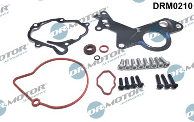 Repair Set, vacuum pump (braking system) Dr.Motor Automotive DRM0210