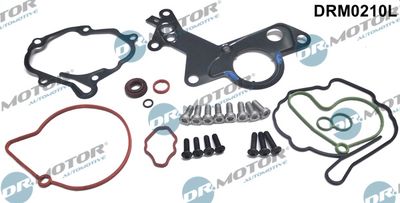 Repair Set, vacuum pump (braking system) Dr.Motor Automotive DRM0210L