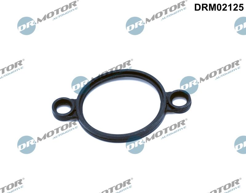 Dr.Motor Automotive DRM02125 Seal, adjusting element (eccentric shaft)