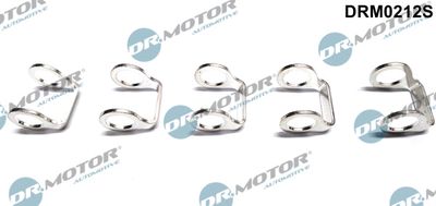 Seal, fuel line Dr.Motor Automotive DRM0212S