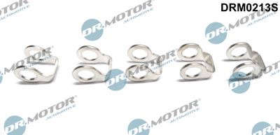 Seal, fuel line Dr.Motor Automotive DRM0213S