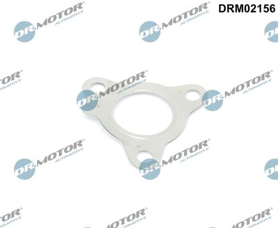 Gasket, charger Dr.Motor Automotive DRM02156