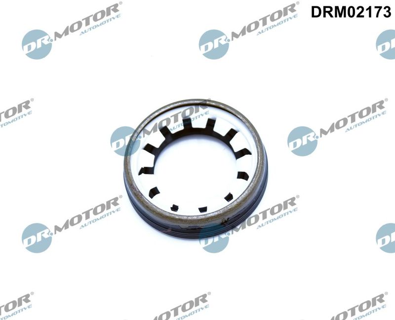 Dr.Motor Automotive DRM02173 Shaft Seal, differential