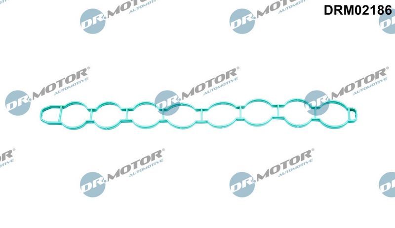 Dr.Motor Automotive DRM02186 Gasket, intake manifold