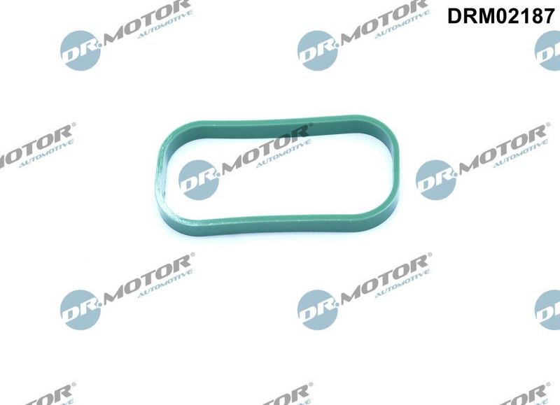 Dr.Motor Automotive DRM02187 Gasket, intake manifold