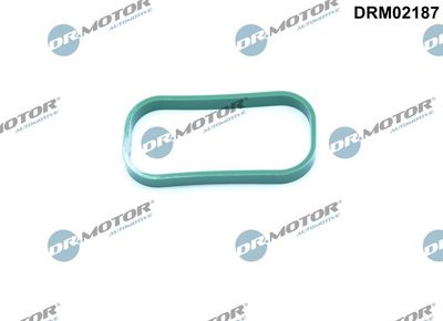 Gasket, intake manifold Dr.Motor Automotive DRM02187