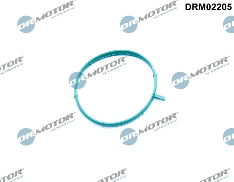 Dr.Motor Automotive DRM02205 Gasket, thermostat housing