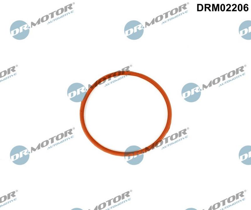 Dr.Motor Automotive DRM02206 Gasket, intake manifold