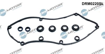 Gasket Set, cylinder head cover Dr.Motor Automotive DRM0220SL