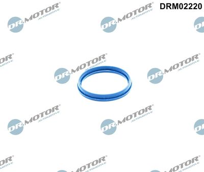 Gasket, intake manifold housing Dr.Motor Automotive DRM02220