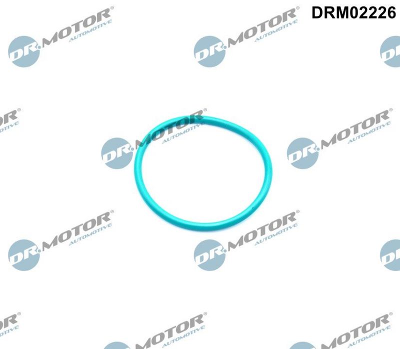 Dr.Motor Automotive DRM02226 Gasket, EGR valve