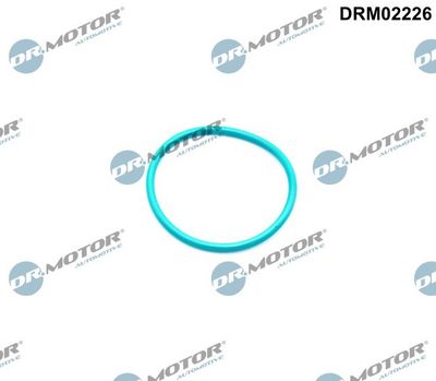 Gasket, EGR valve Dr.Motor Automotive DRM02226