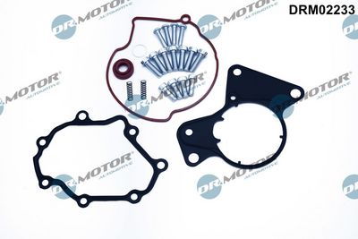 Repair Set, vacuum pump (braking system) Dr.Motor Automotive DRM02233