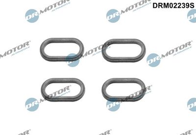 Seal, injector holder Dr.Motor Automotive DRM02239S