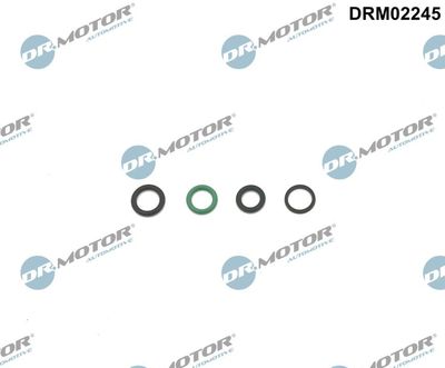 Gasket Set, steering gear Dr.Motor Automotive DRM02245