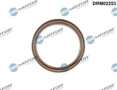 Shaft Seal, crankshaft Dr.Motor Automotive DRM02253