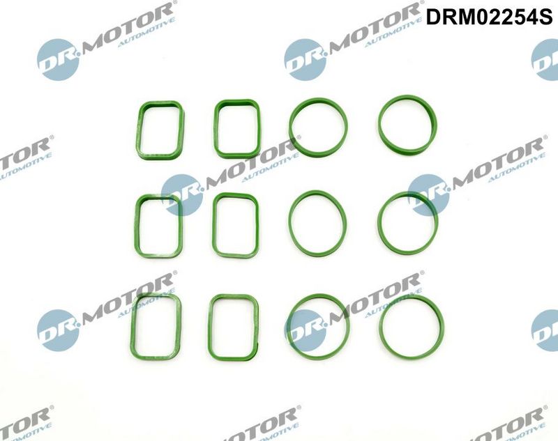 Dr.Motor Automotive DRM02254S Gasket Set, intake manifold