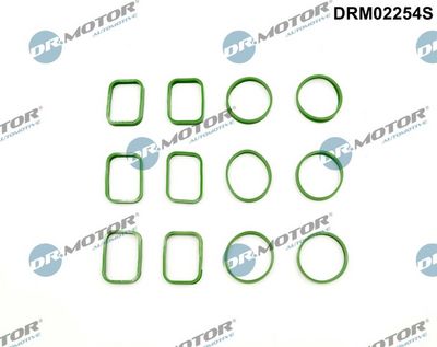 Gasket Set, intake manifold Dr.Motor Automotive DRM02254S