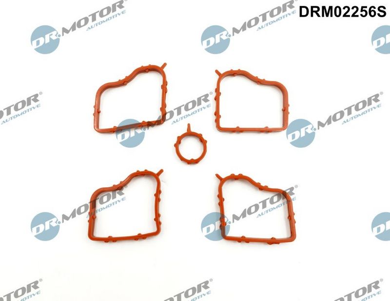 Dr.Motor Automotive DRM02256S Gasket Set, cylinder head cover