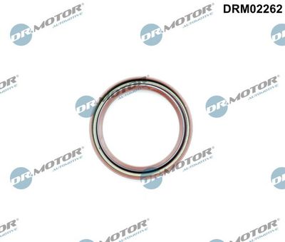 Shaft Seal, crankshaft Dr.Motor Automotive DRM02262