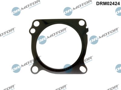 Gasket, throttle body Dr.Motor Automotive DRM02424