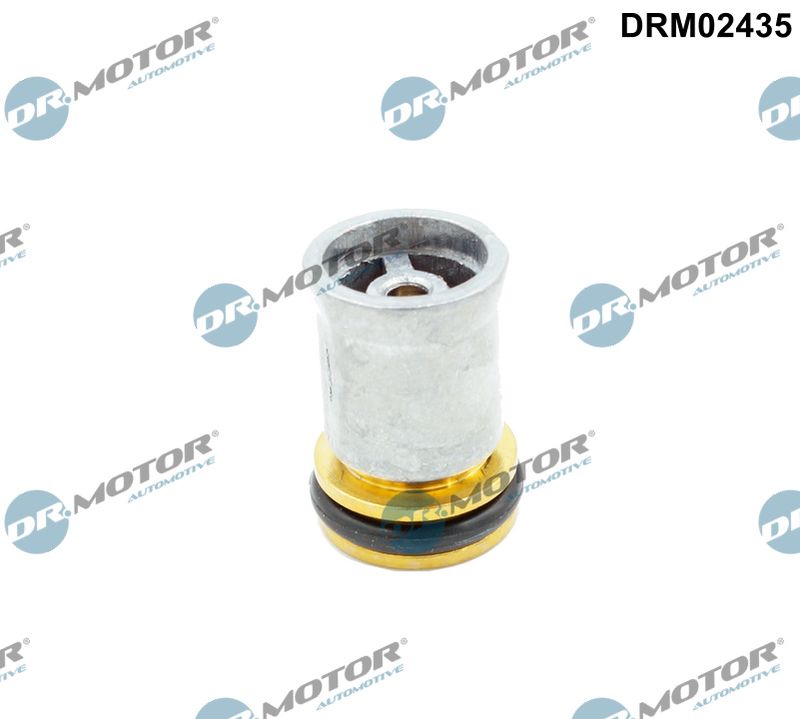 Dr.Motor Automotive DRM02435 Non-Return Valve