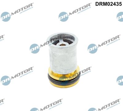 Non-Return Valve Dr.Motor Automotive DRM02435