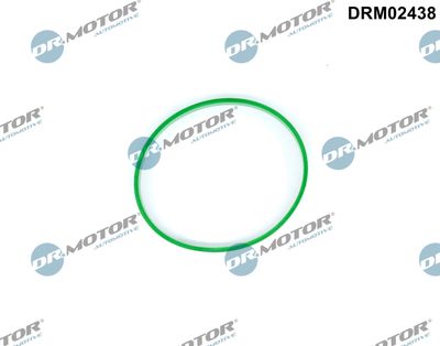 Gasket, throttle body Dr.Motor Automotive DRM02438