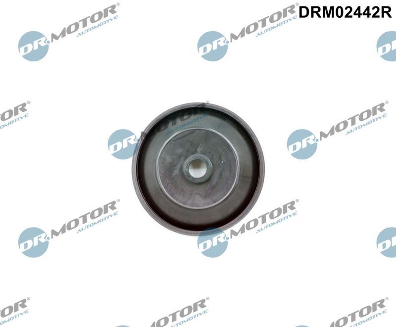 Dr.Motor Automotive DRM02442R Control Valve, air intake