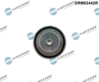 Control Valve, air intake Dr.Motor Automotive DRM02442R